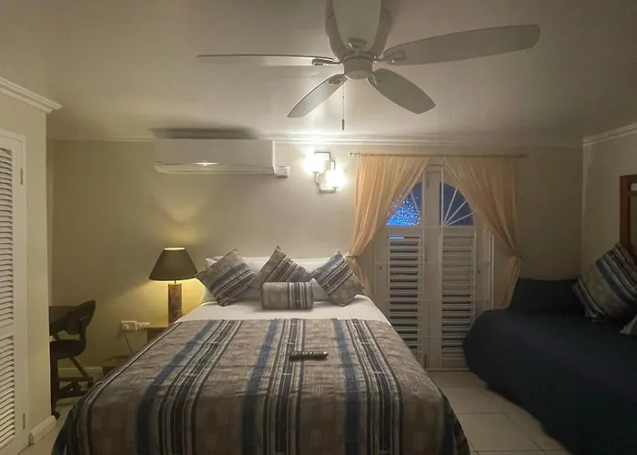 Hummingbird Retreat - Luxury Oceanview Apt, 7-minute Walk To