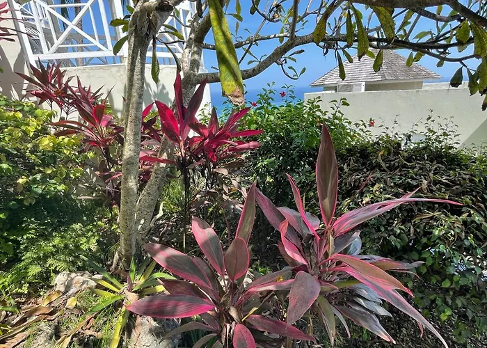 Hummingbird Retreat - Luxury Oceanview Apt, 7-minute Walk To *