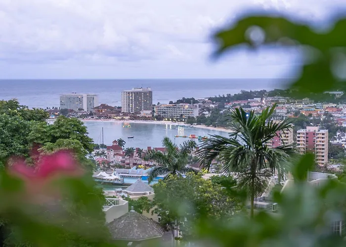 Hummingbird Retreat - Luxury Oceanview Apt, 7-minute Walk To Apartamento *